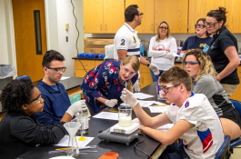 College of Natural Sciences and Mathematics