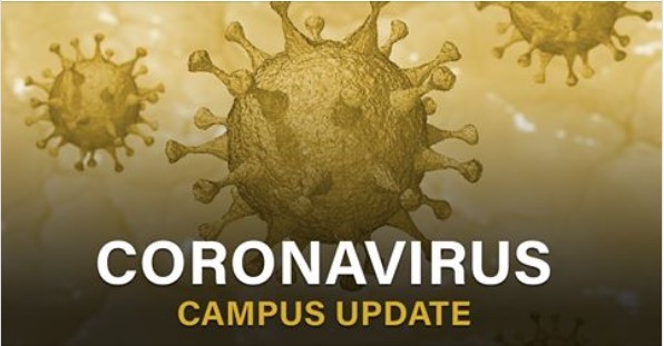 Covid Coronavirus image